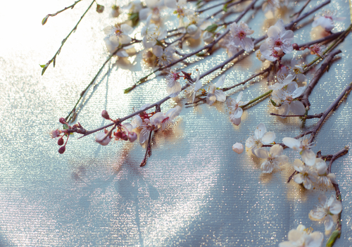 Cosa si intende per equinozio di primavera