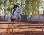 Bambini ed equitazione: un percorso sicuro verso l'avventura