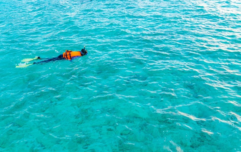 Esplorare i fondali marini: guida completa allo snorkeling